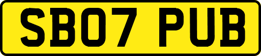 SB07PUB