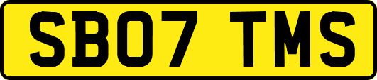 SB07TMS