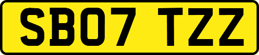 SB07TZZ