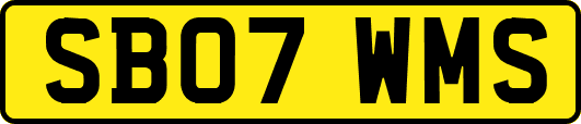 SB07WMS