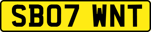 SB07WNT