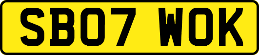 SB07WOK