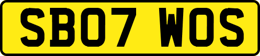 SB07WOS