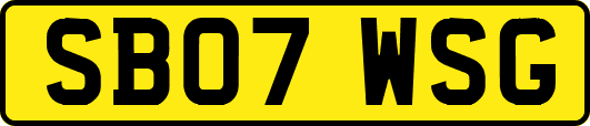 SB07WSG