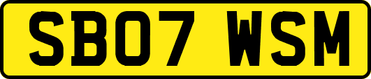 SB07WSM