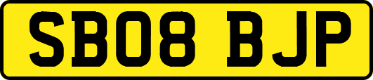 SB08BJP
