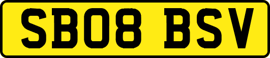 SB08BSV