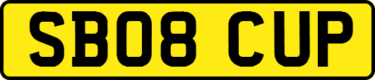 SB08CUP
