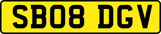 SB08DGV