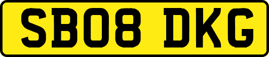 SB08DKG