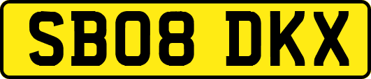 SB08DKX