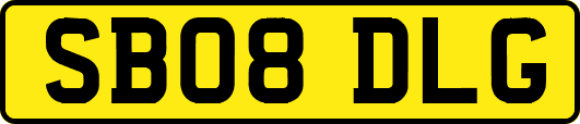 SB08DLG