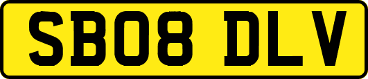 SB08DLV
