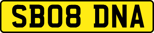 SB08DNA
