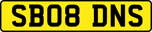 SB08DNS