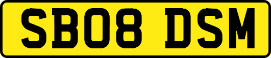 SB08DSM