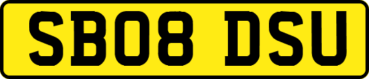 SB08DSU