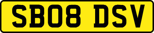 SB08DSV