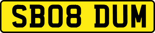 SB08DUM
