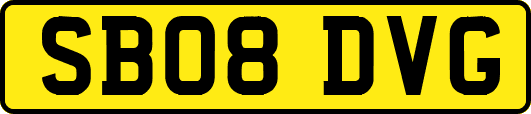 SB08DVG