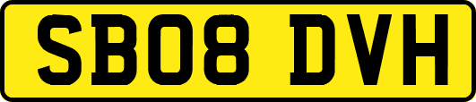 SB08DVH