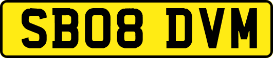 SB08DVM