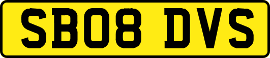 SB08DVS