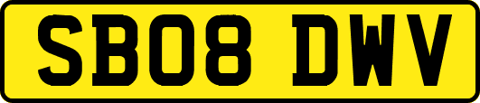 SB08DWV