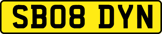 SB08DYN