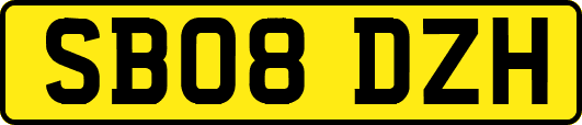 SB08DZH