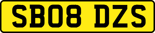 SB08DZS