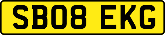 SB08EKG