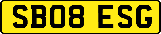 SB08ESG