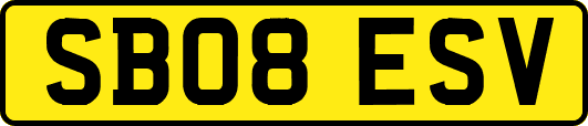 SB08ESV
