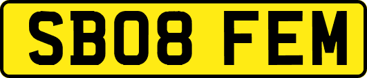 SB08FEM