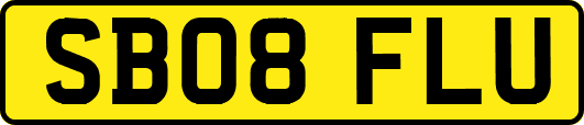 SB08FLU