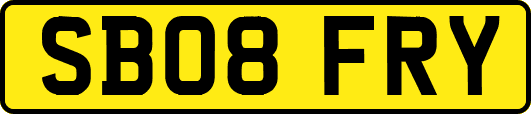 SB08FRY