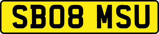 SB08MSU