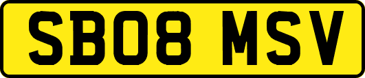 SB08MSV