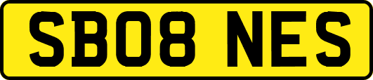 SB08NES