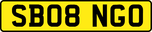SB08NGO