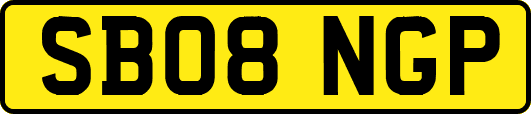 SB08NGP