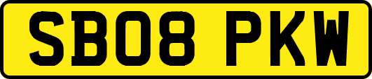 SB08PKW