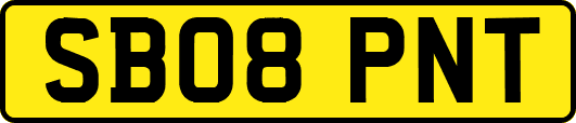 SB08PNT