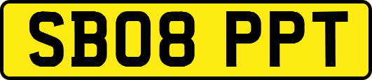 SB08PPT