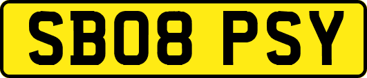SB08PSY