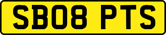 SB08PTS