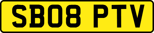 SB08PTV