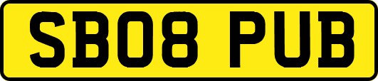 SB08PUB