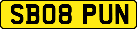 SB08PUN